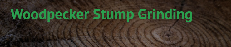 Woodpecker Stump Grinding